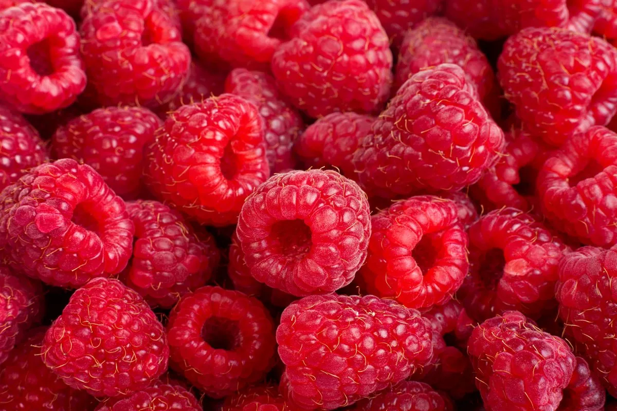 Frambuesas